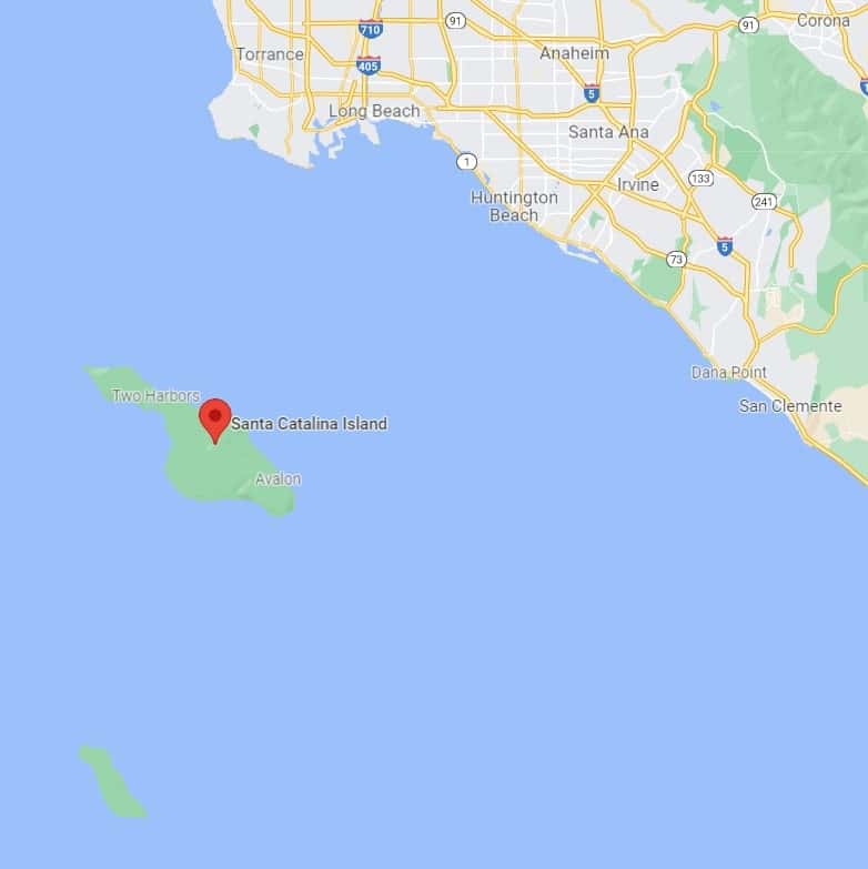 ashes burial at sea on Santa-Catalina-Island