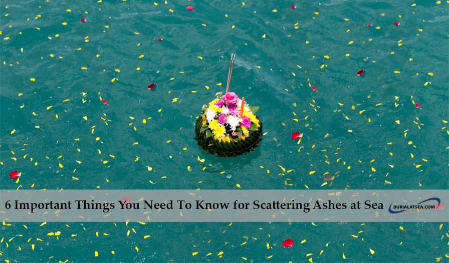 6 Important Things You Need To Know for Scattering Ashes at Sea 